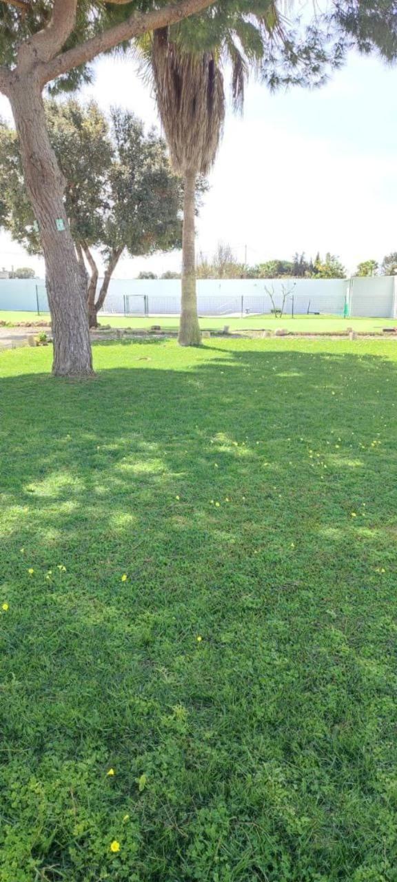 Campsite En El Centro De Bienestar Tfm *